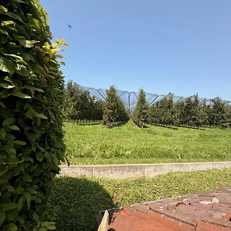 6 Minuten Zum Bodensee, 10 Minuten Zum Stadtzentrum, Sehr Ruhig, Kuehl Auch Bei Hitze